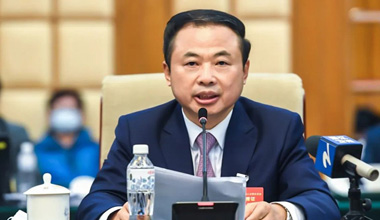 两会季丨围绕新能源工业，，，，，，张天任代表提交这些建议