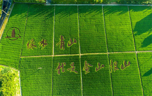 9999js金沙老品牌(中国)有限公司官网