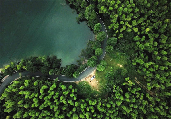 9999js金沙老品牌(中国)有限公司官网